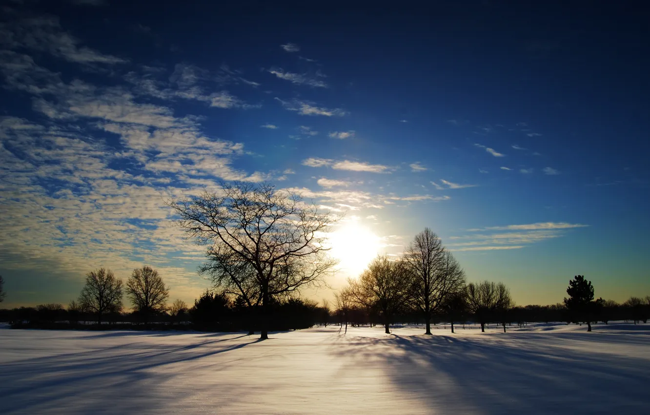 Фото обои зима, солнце, деревья, закат, тень, горизонт, sunshine, trees