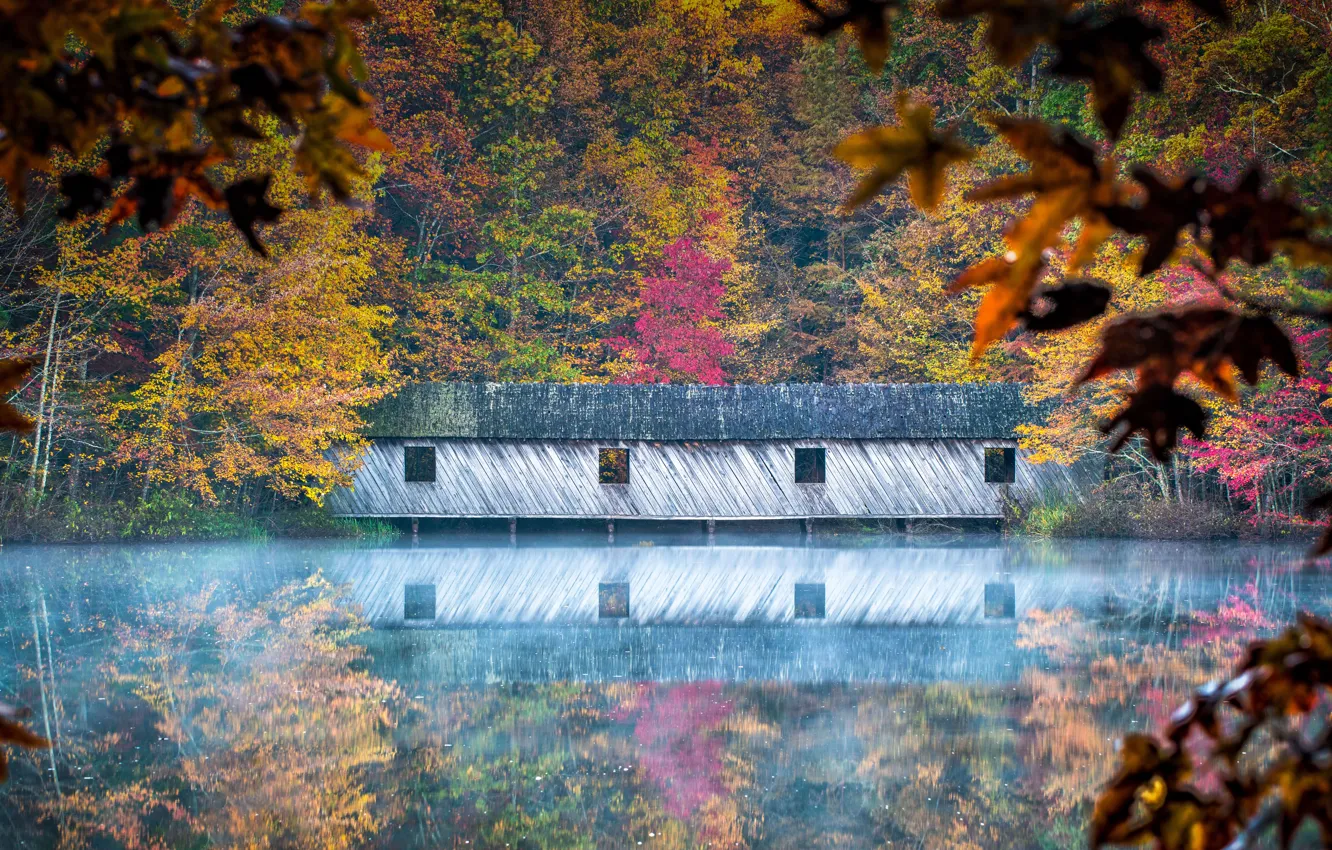 Фото обои осень, США, Алабама, Cambron Covered Bridge, Green Mountain Park