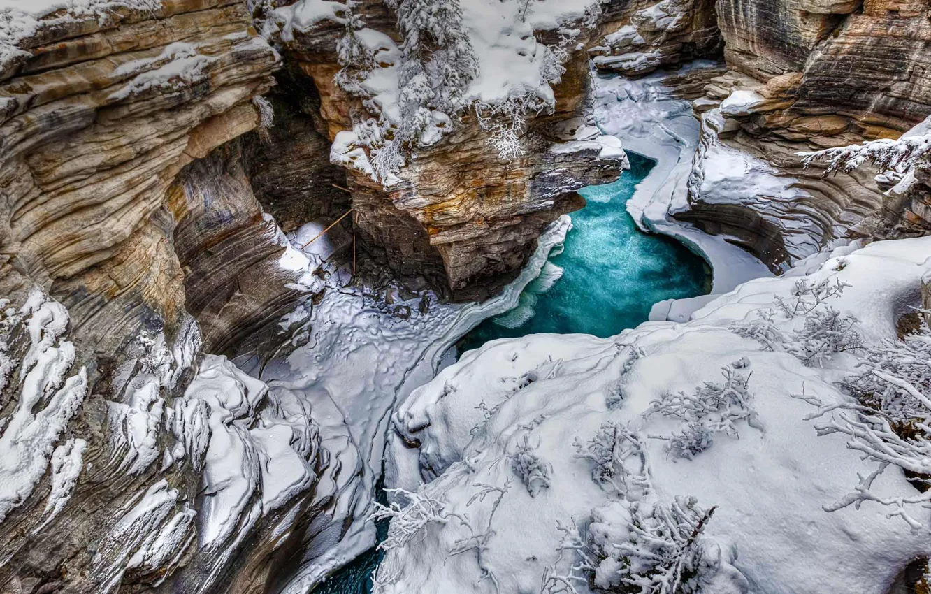 Фото обои зима, снег, горы, река, Канада, Альберта, национальный парк, Атабаска