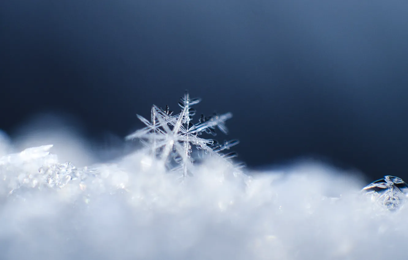 Фото обои кристалл, макро, снег, узор, снежинка