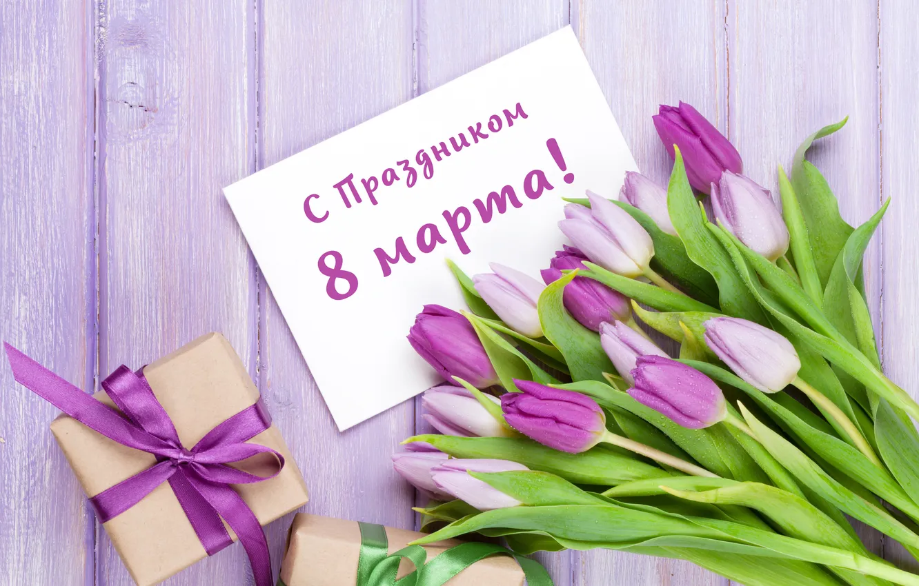 Фото обои цветы, букет, тюльпаны, 8 марта, flowers, tulips, spring, purple