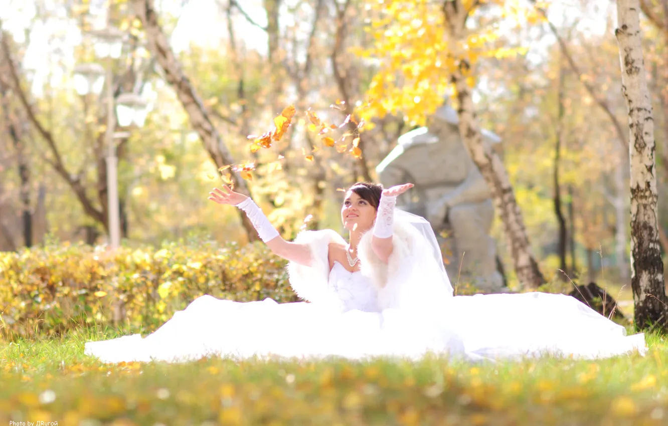 Фото обои осень, девушка, счастье, листва, сидит, невеста