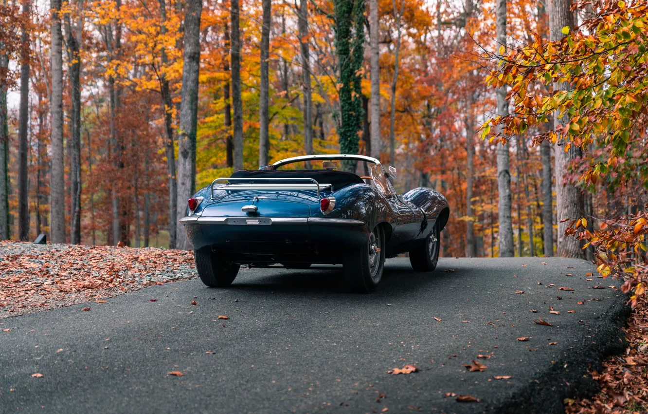 Фото обои Jaguar, 1957, rear view, XKSS, Jaguar XKSS