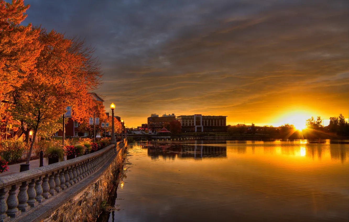 Фото обои осень, небо, солнце, деревья, цветы, огни, река, рассвет
