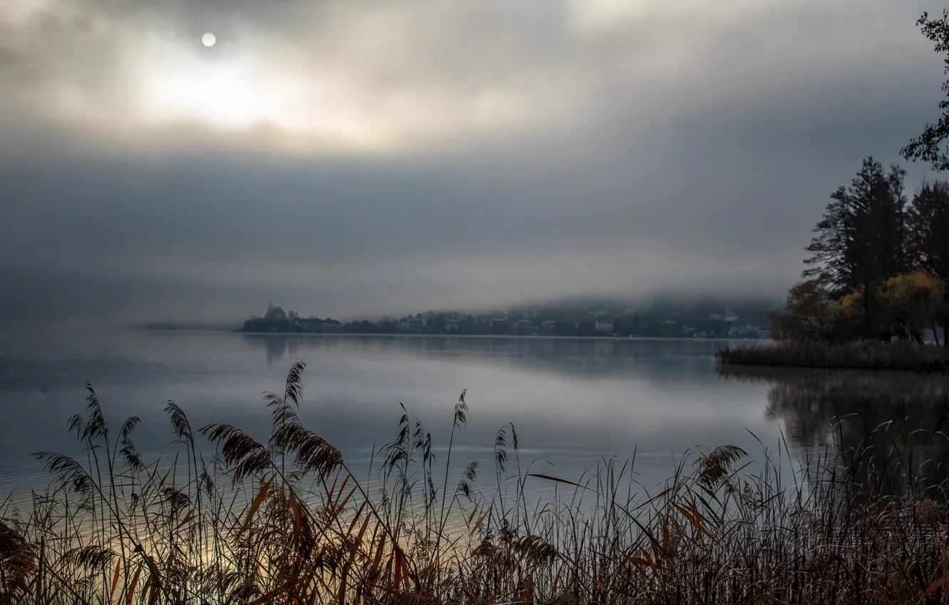 Фото обои небо, трава, пейзаж, утро, водоем