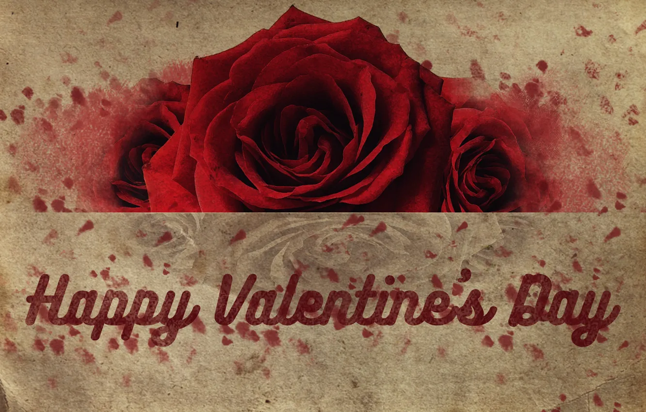 Фото обои red, love, rose, flower, valentine's day, valentine, happy valentine's day
