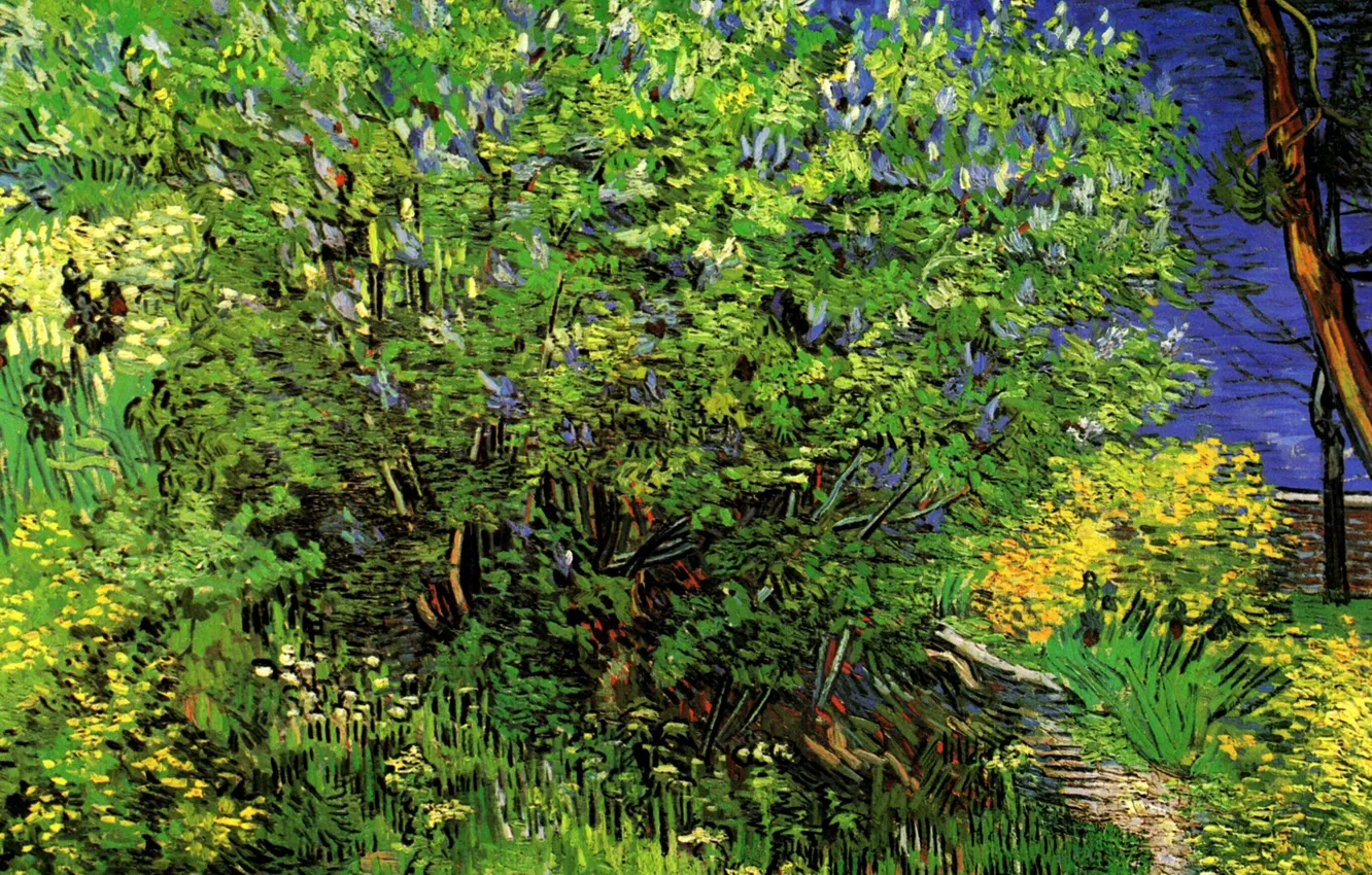 Фото обои трава, куст, Vincent van Gogh, Lilacs