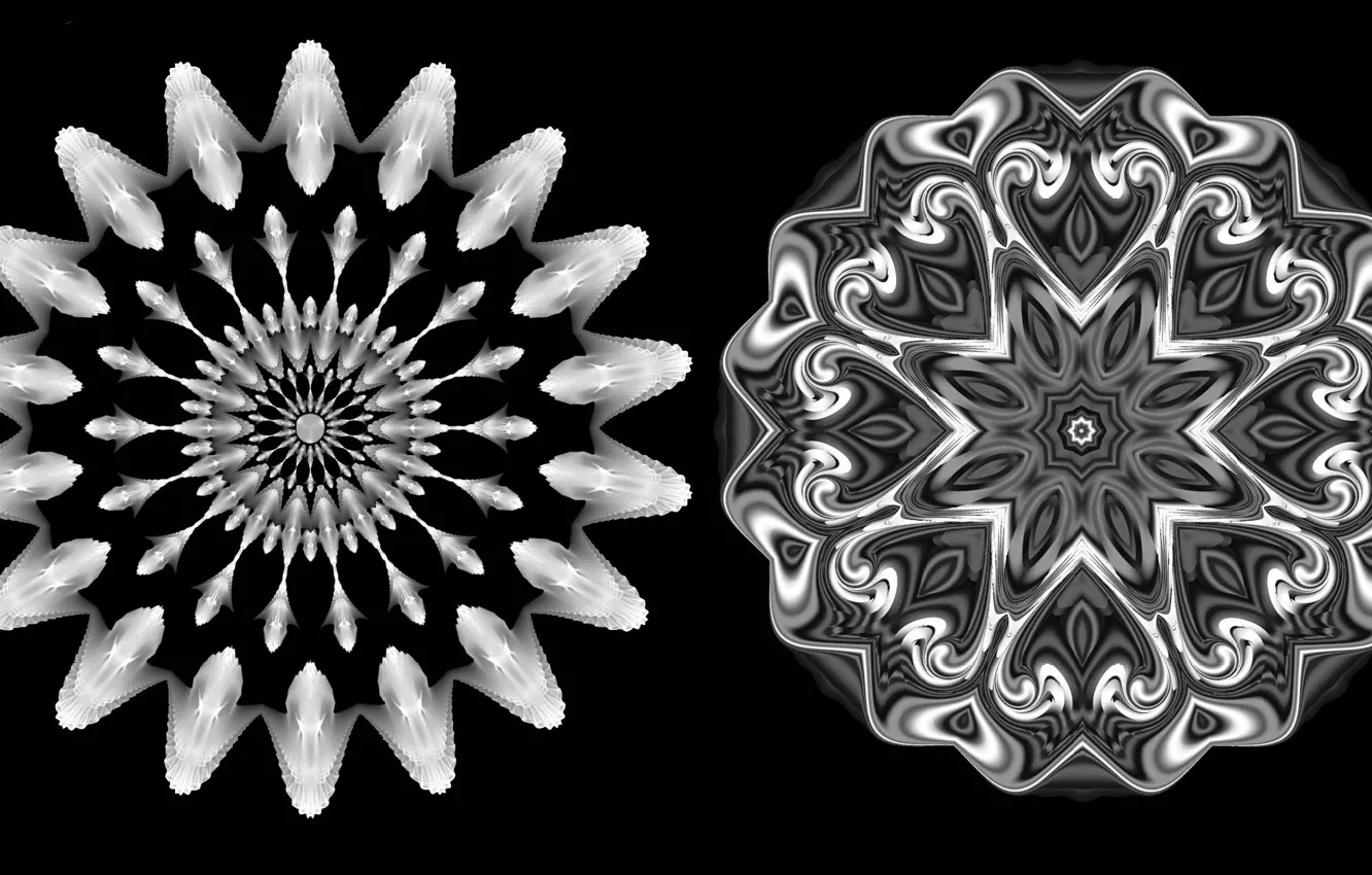 Фото обои абстракция, узор, двое, pattern, two, другое, fractals, Abstraction