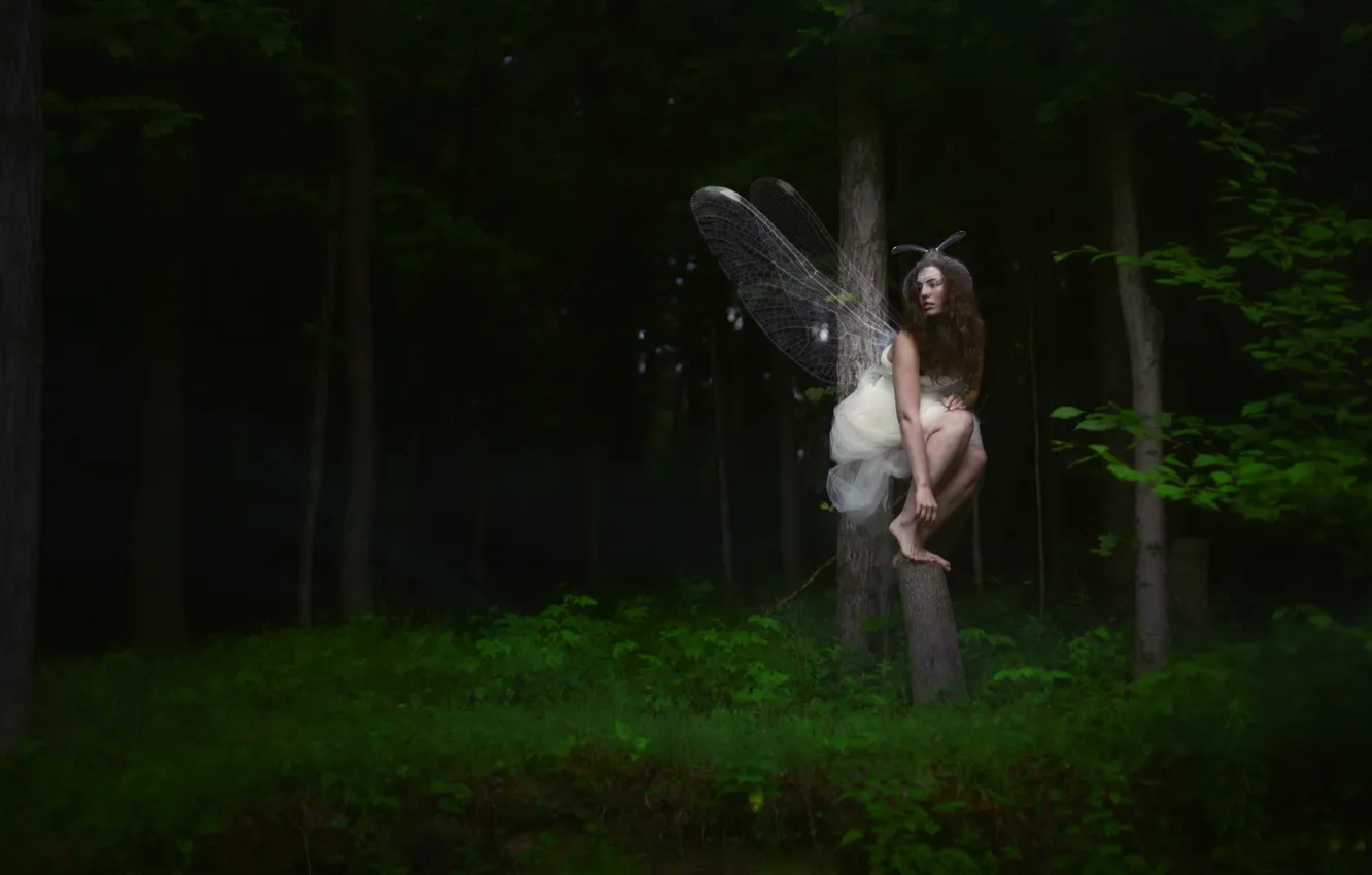 Фото обои лес, девушка, бабочка