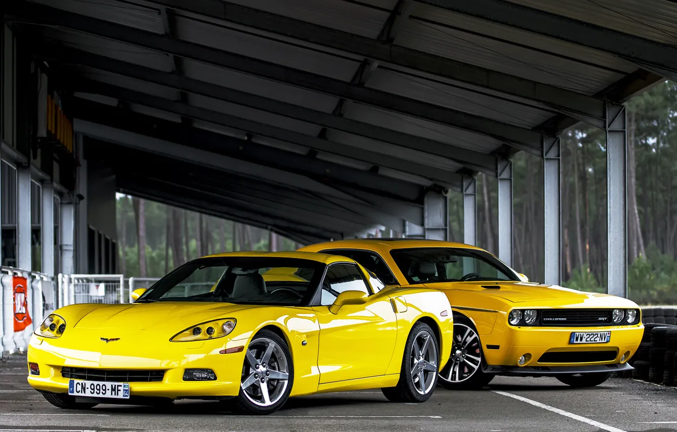 Фото обои деревья, желтый, Corvette, Chevrolet, Dodge, навес, SRT8, Challenger