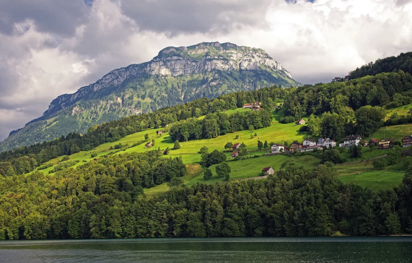 Фото обои зелень, деревья, горы, озеро, дома, Швейцария, склон, Lake Lucerne