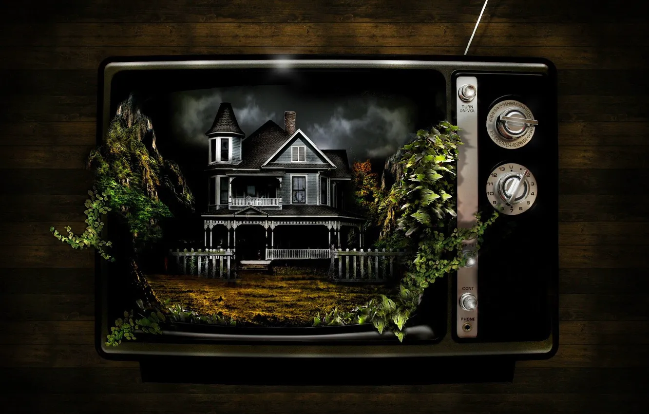 Фото обои дом, растения, странно, Телевизор