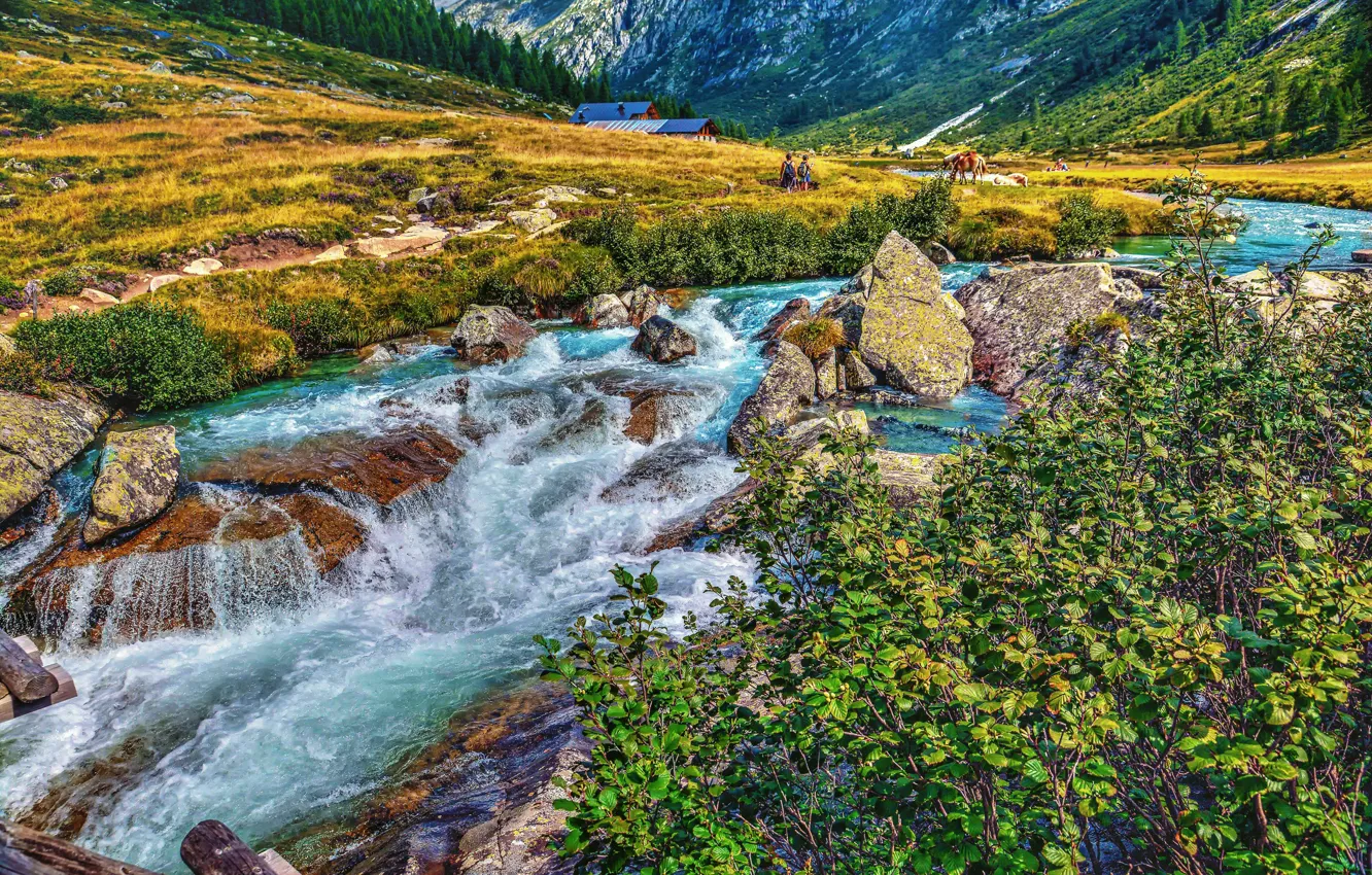 Фото обои горы, река, камни, долина, Альпы, Италия, кусты, Italy