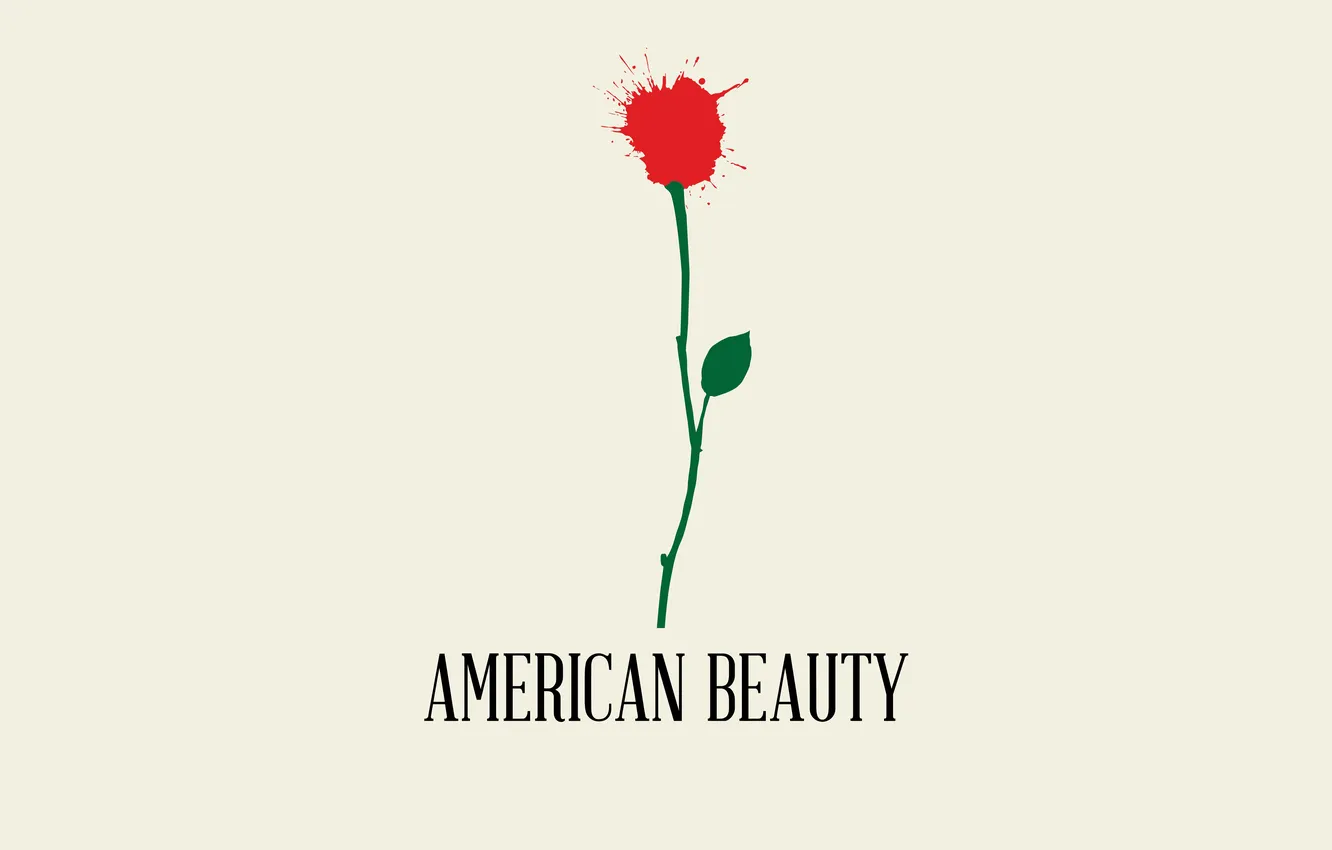Фото обои цветок, минимализм, Красота по-американски