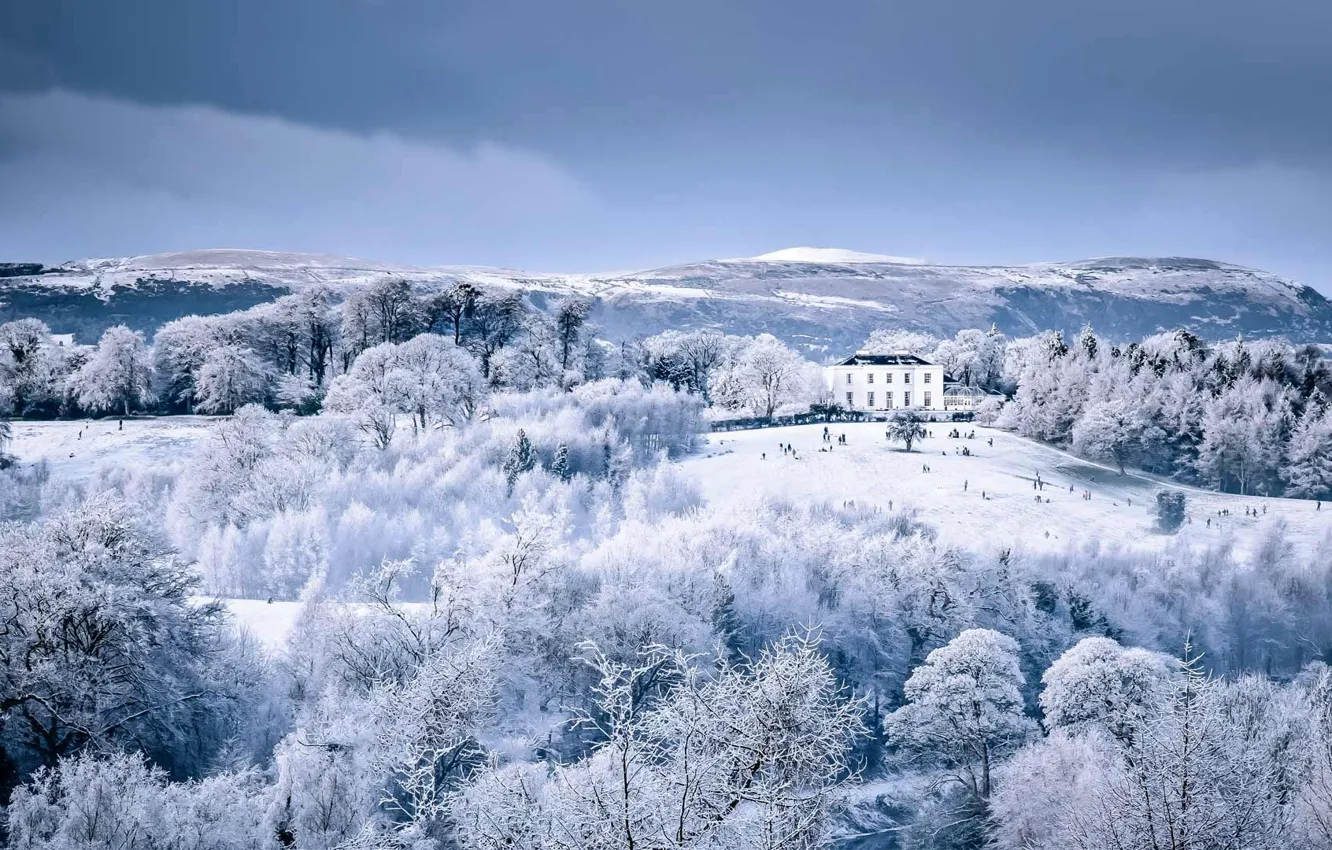 Фото обои зима, снег, дом, парк, Северная Ирландия, Белфаст, Barnett Demesne Park