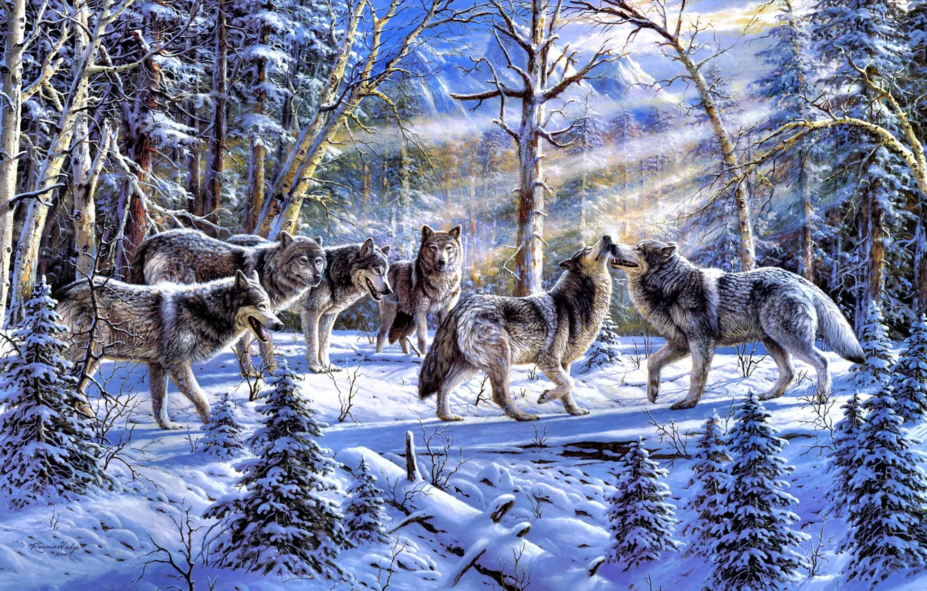 Фото обои зима, лес, животные, природа, ель, стая, волки, живопись