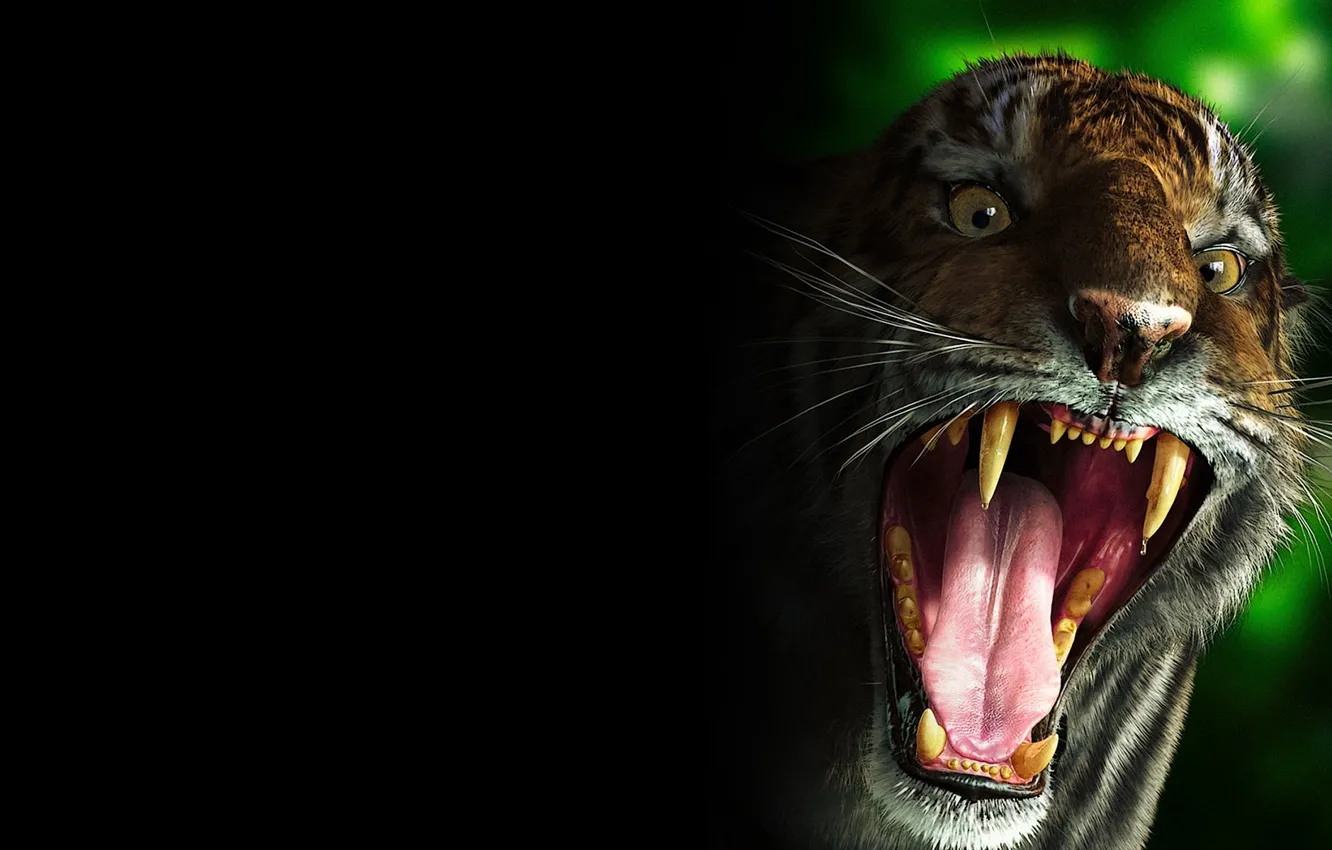 Фото обои тигр, зубы, злой
