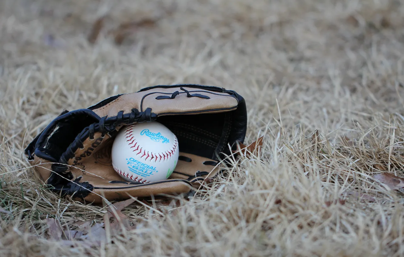 Фото обои спорт, мяч, перчатка, baseball