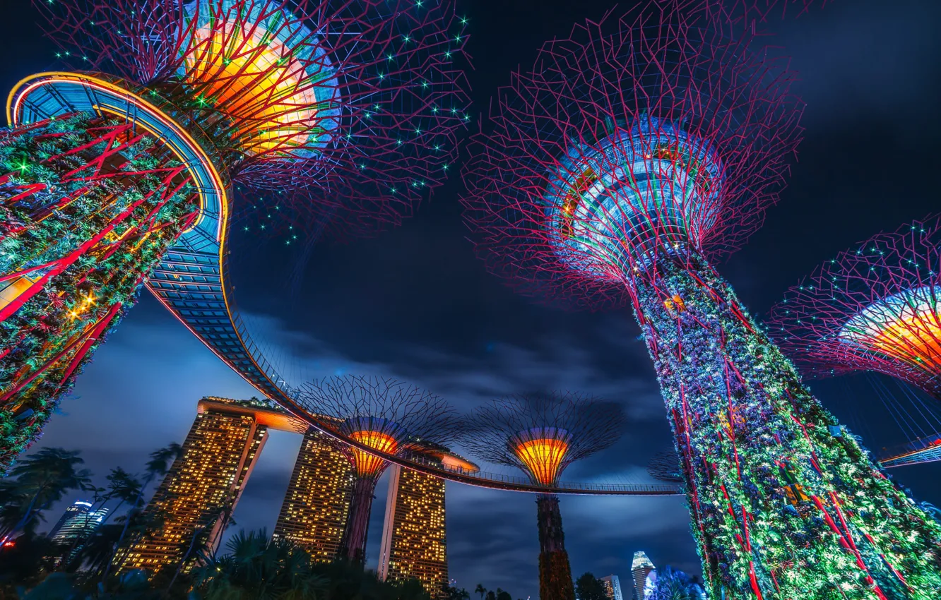 Фото обои деревья, город, парк, здания, дома, вечер, освещение, Сингапур