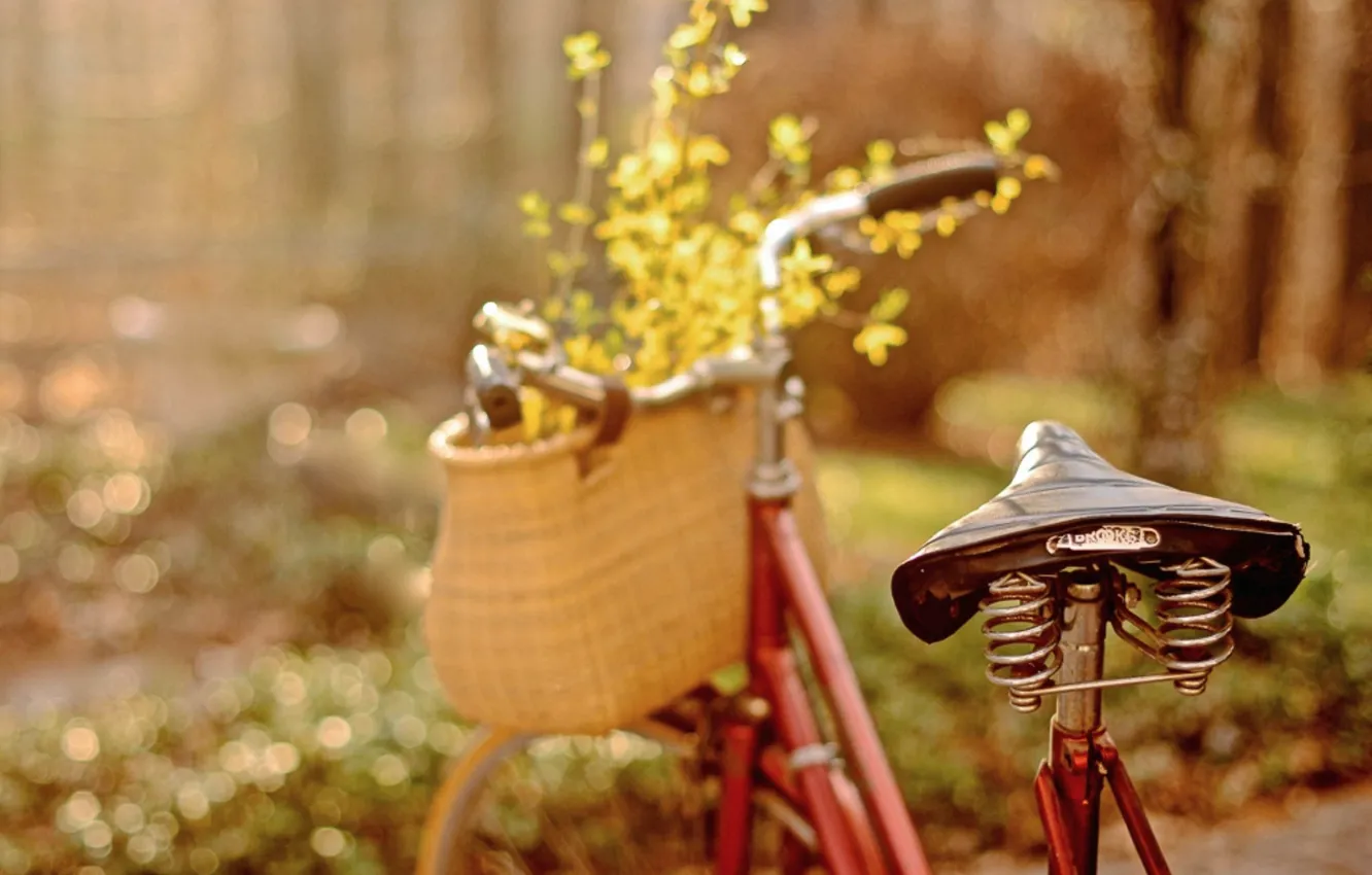 Фото обои цветы, велосипед, лепестки, боке