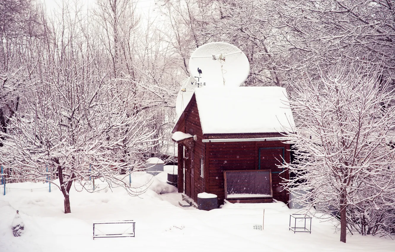 Фото обои зима, снег, деревья, природа, дом, двор, домик