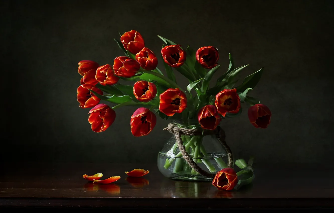 Фото обои цветы, тюльпаны, ваза