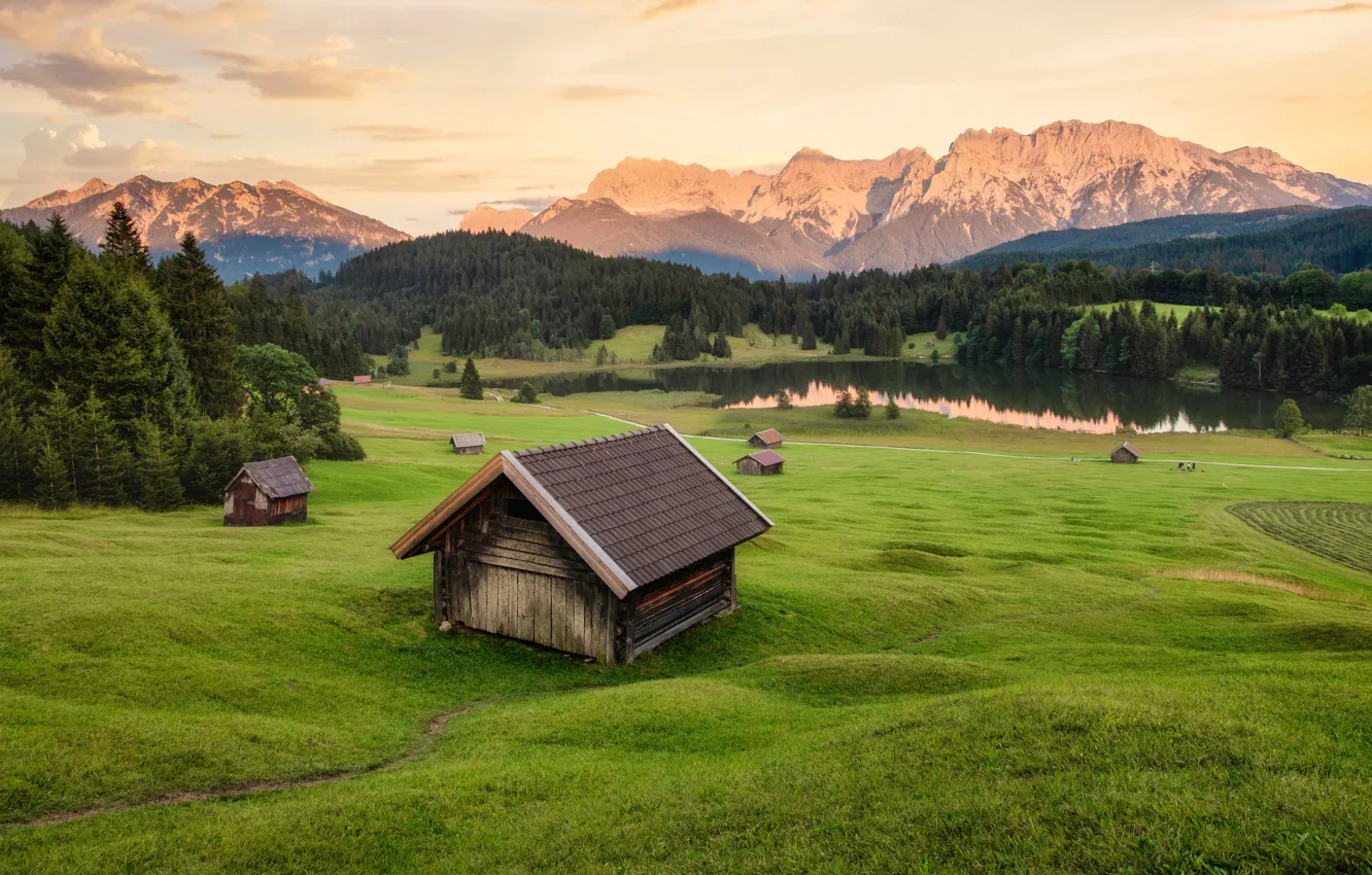 Фото обои поле, лес, горы, озеро, вершины, даль, ели, склон