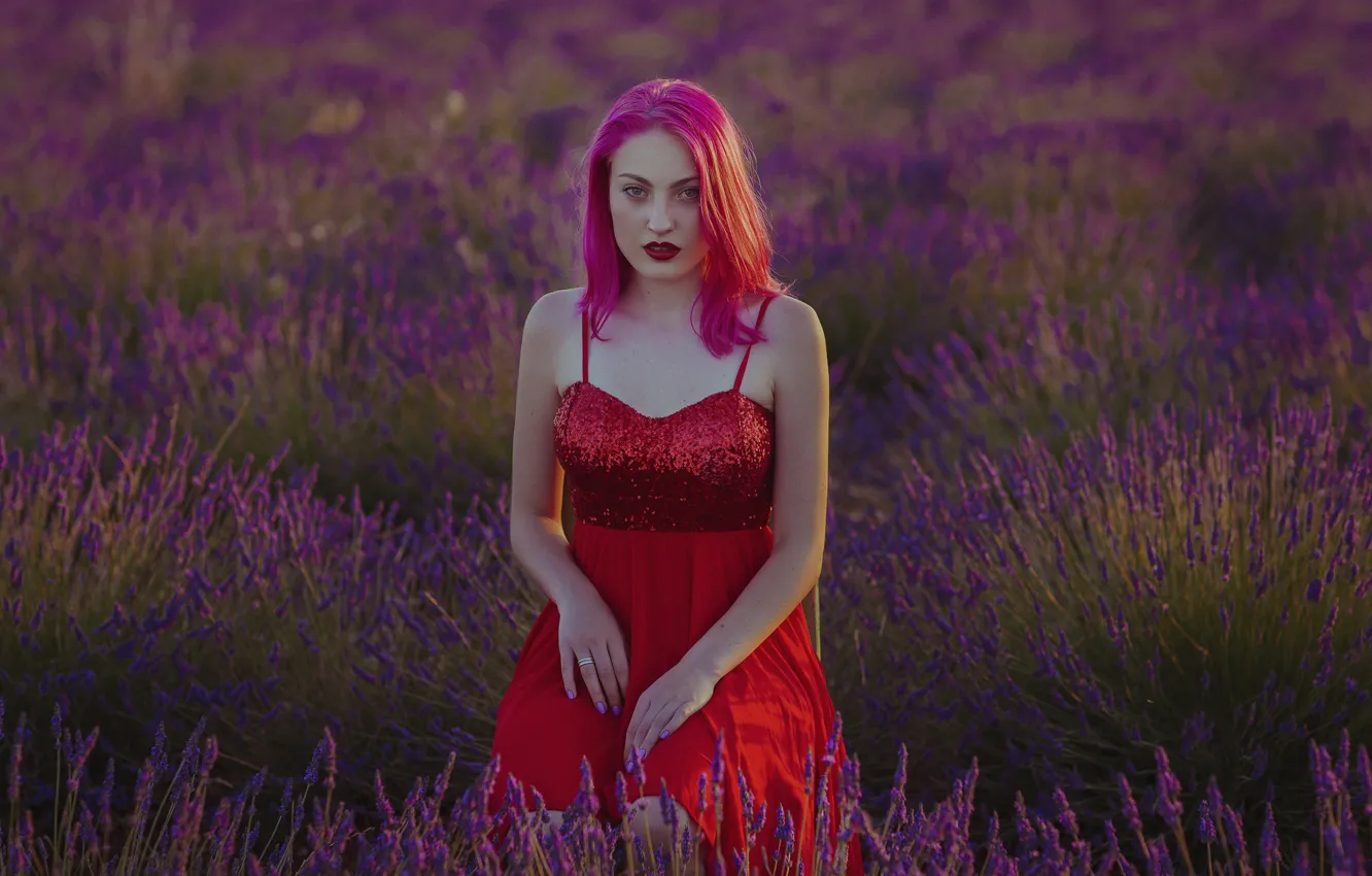 Фото обои лето, девушка, лицо, фон, волосы, цвет, платье