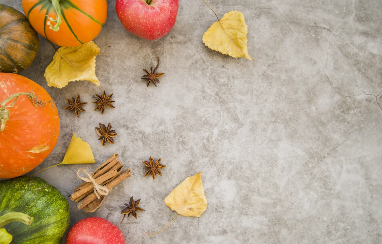 Фото обои осень, листья, яблоки, тыква, фрукты, wood, autumn, leaves