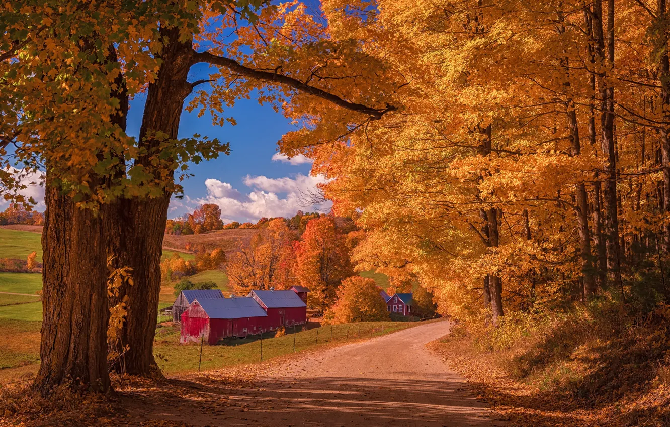 Фото обои дорога, осень, лес, облака, свет, деревья, пейзаж, ветки