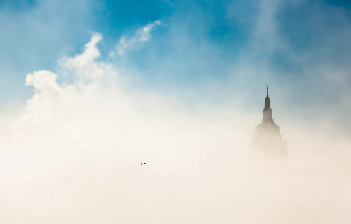 Фото обои небо, город, туман, птица, утро, Будапешт