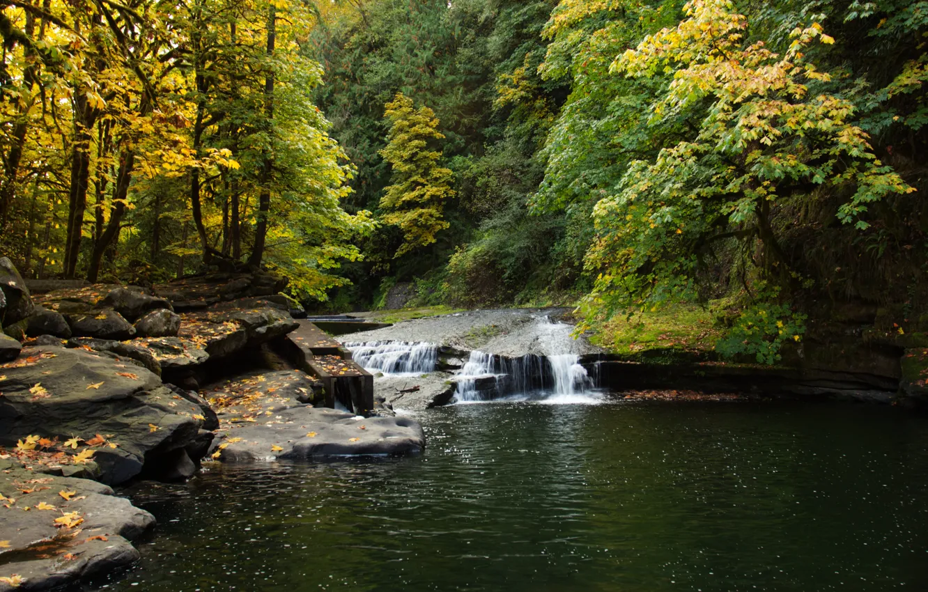 Фото обои осень, лес, листья, пейзаж, природа, озеро, камни, водопад