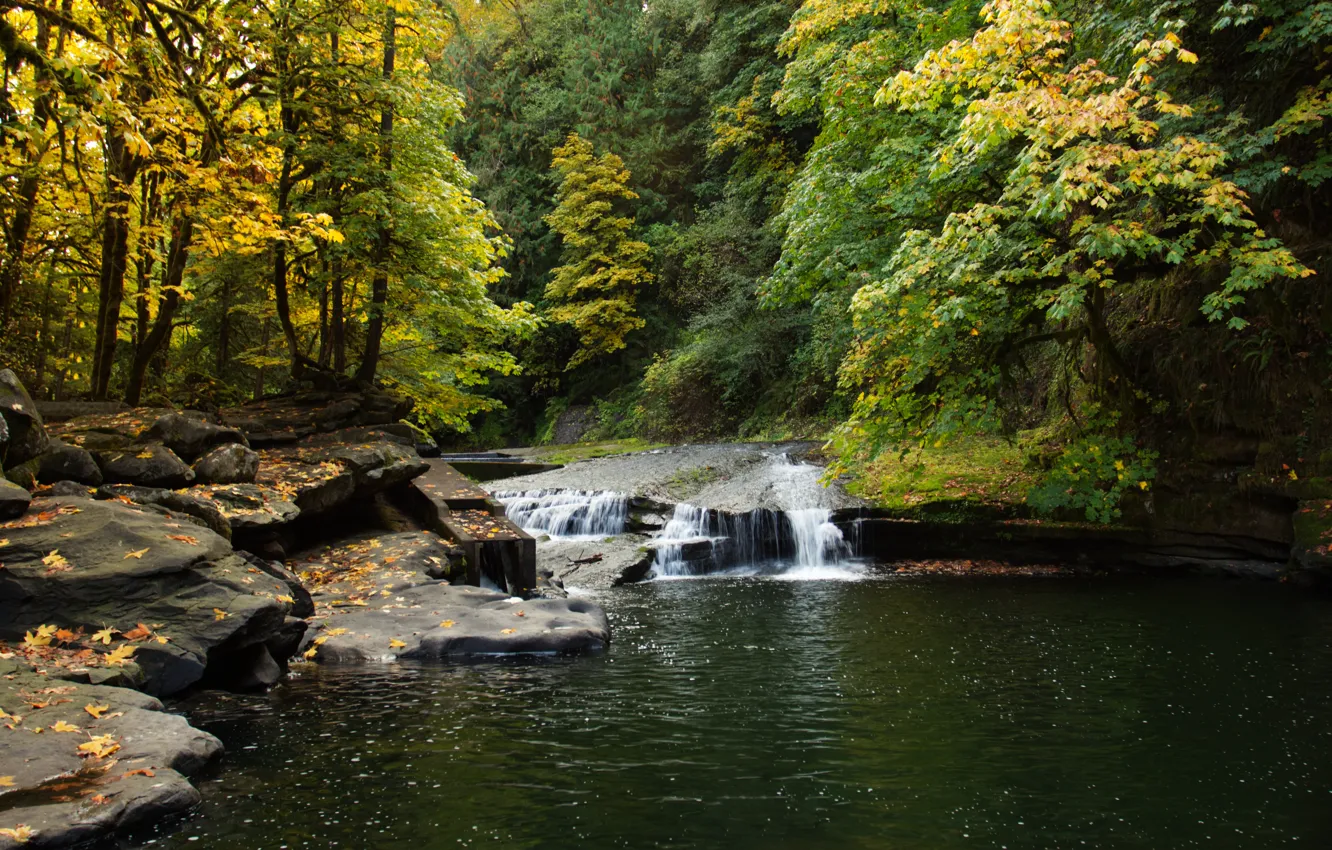 Fall creek. Autumn Falls. Autumn Pool.