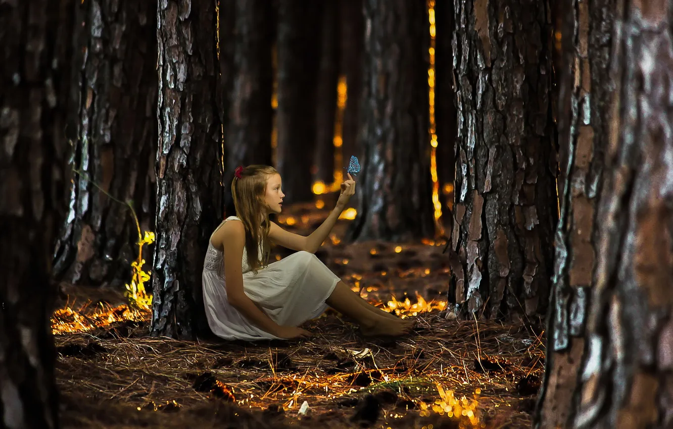 Фото обои лес, бабочка, девочка