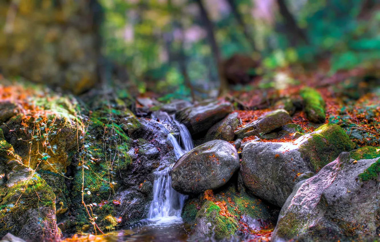 Фото обои осень, лес, деревья, река, камни, скалы, поток, спецэффект