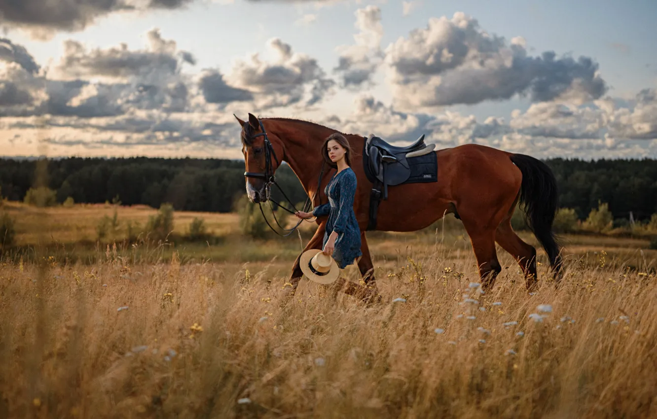 Фото обои поле, небо, девушка, конь, Георгий Чернядьев, Georgy Chernyadyev, Анна Воронцова