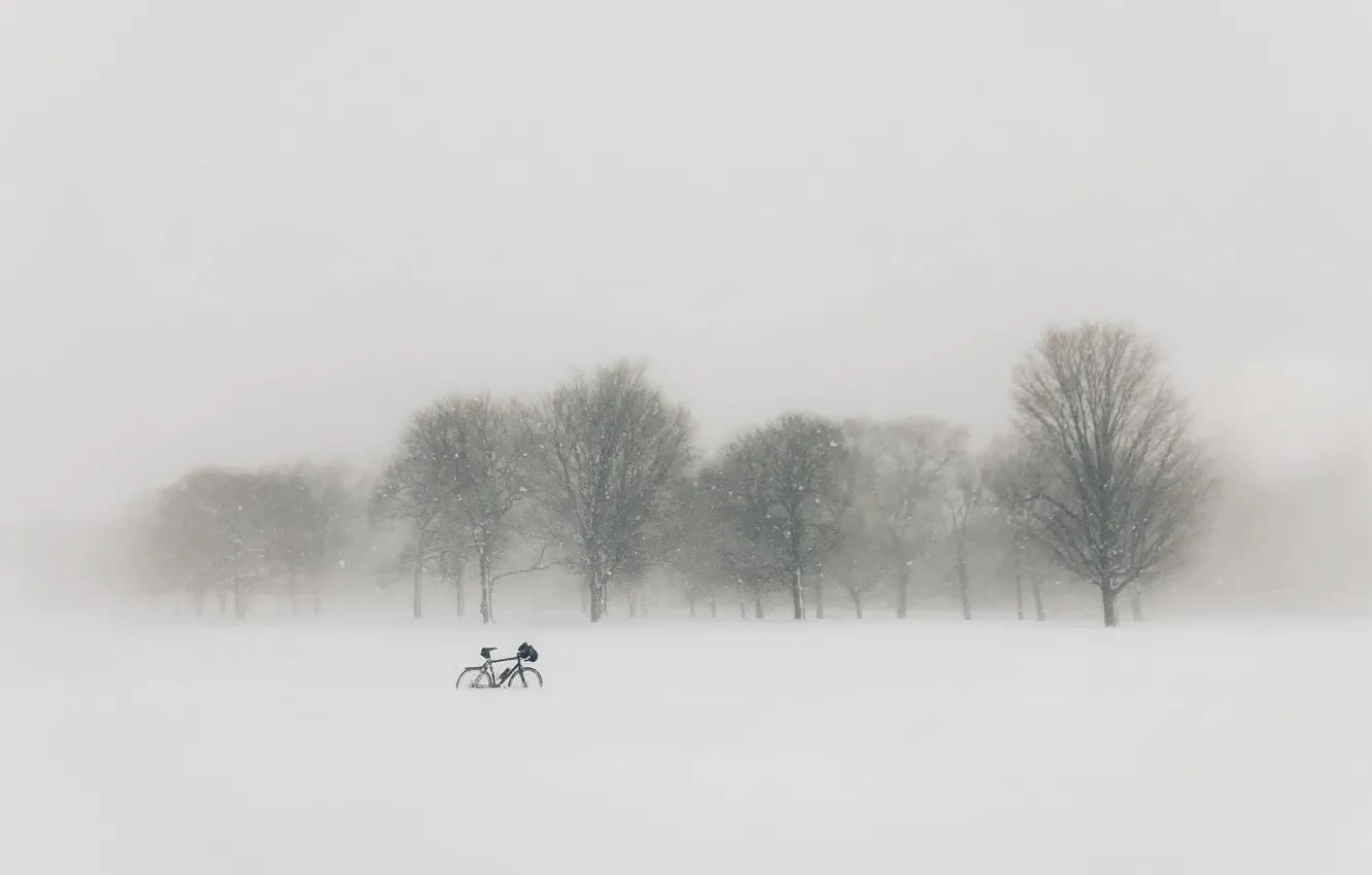 Фото обои поле, снег, велосипед, туман