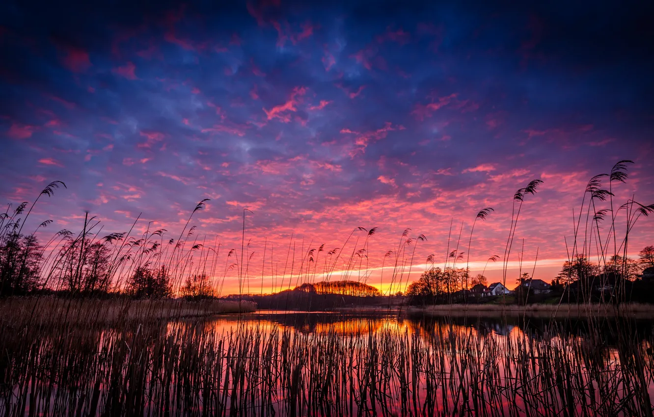 Фото обои небо, трава, облака, деревья, закат, оранжевый, озеро, отражение