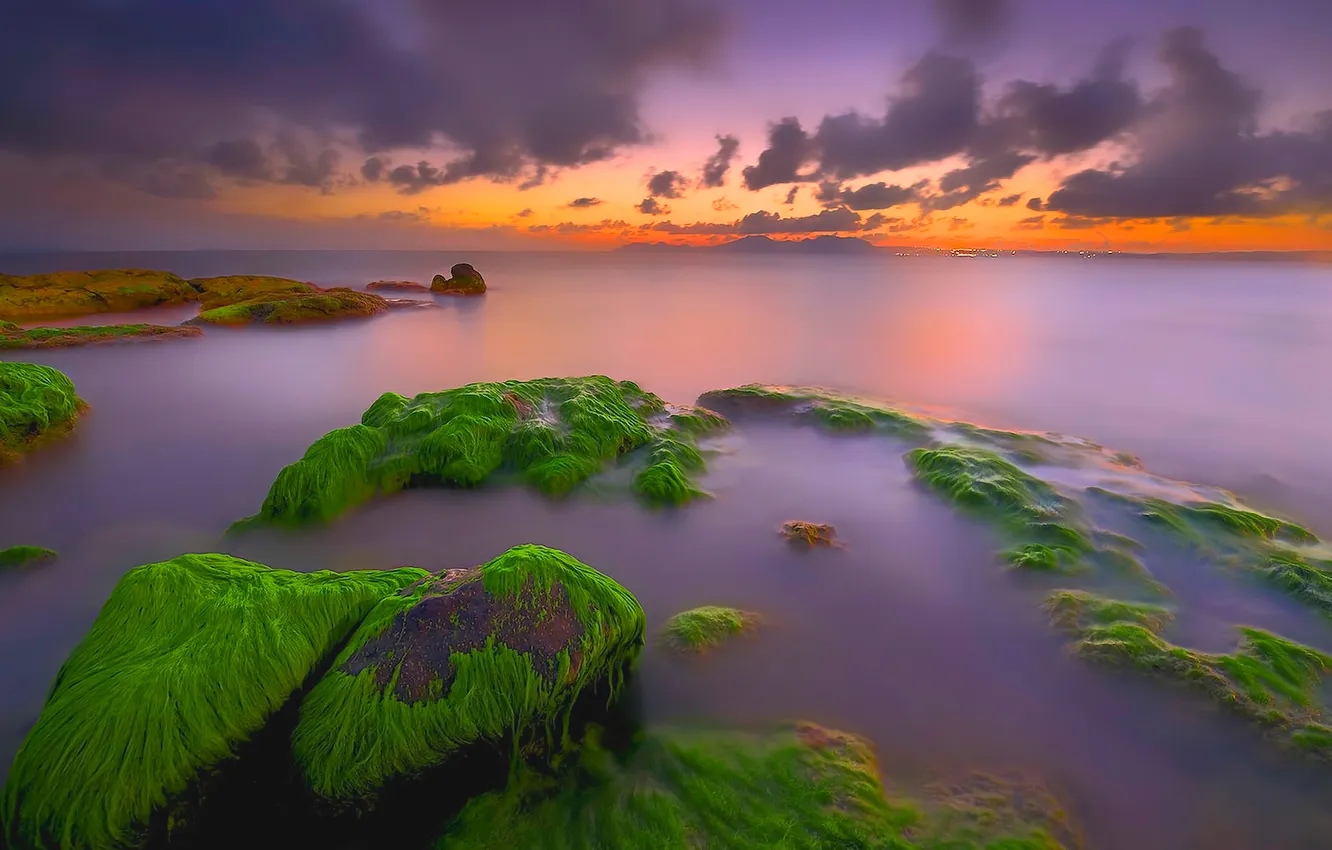 Фото обои море, небо, облака, водоросли, закат, природа, камни