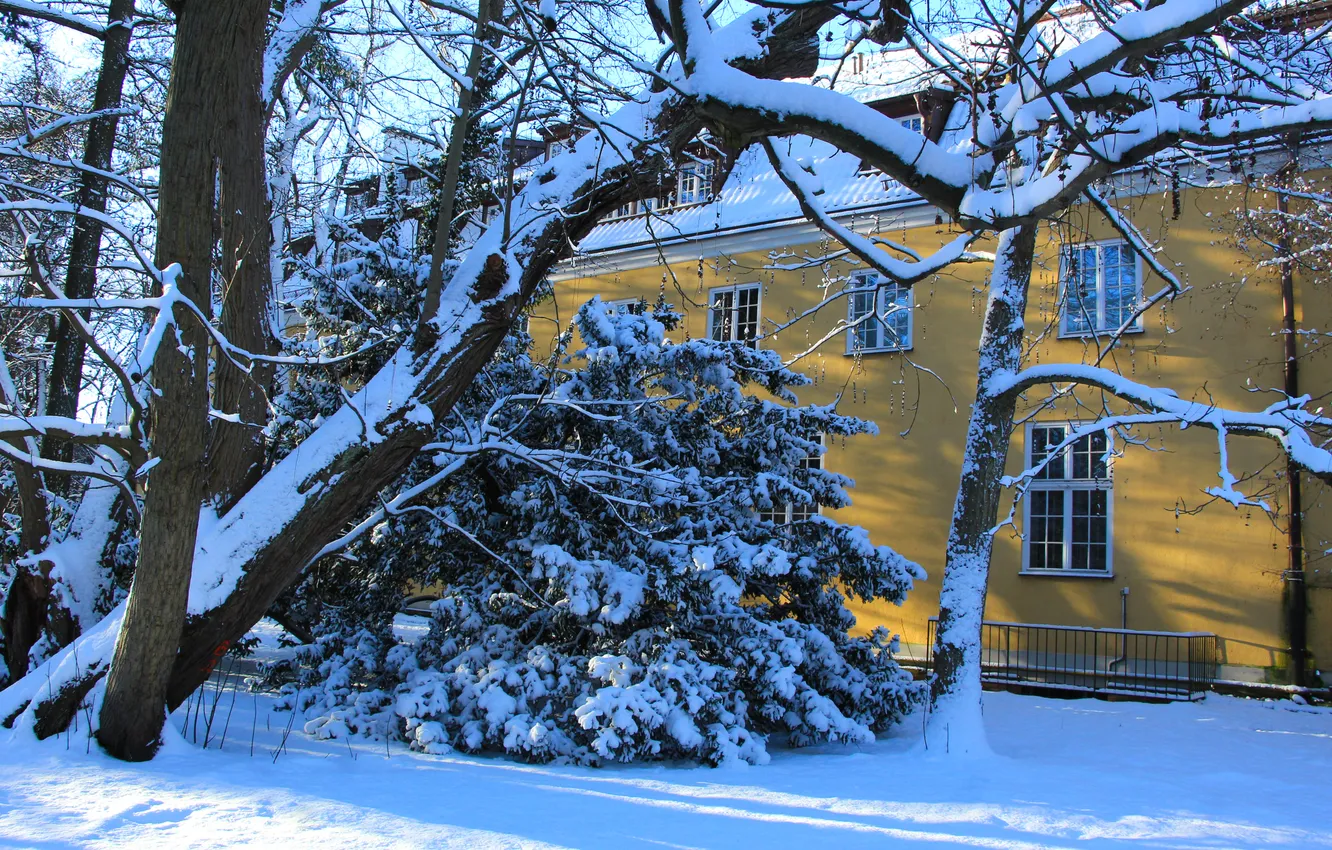 Фото обои house, trees, park, winter, snow