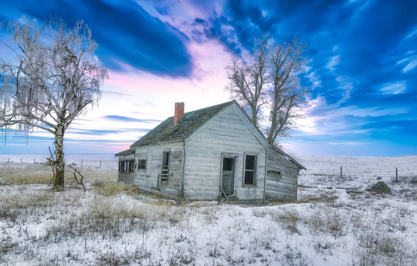 Фото обои поле, природа, дома