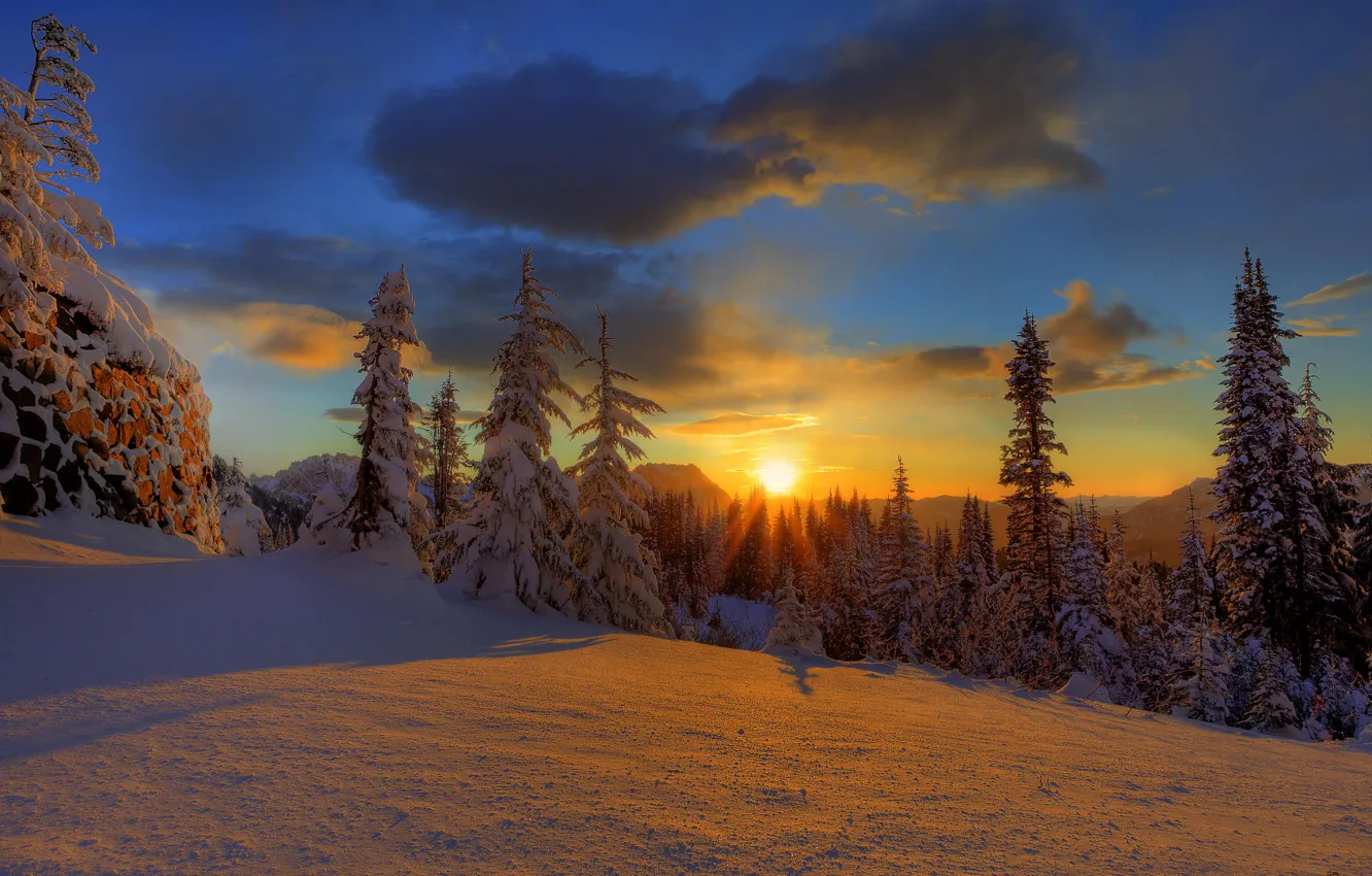 Фото обои зима, лес, небо, облака, снег, закат, природа, елки