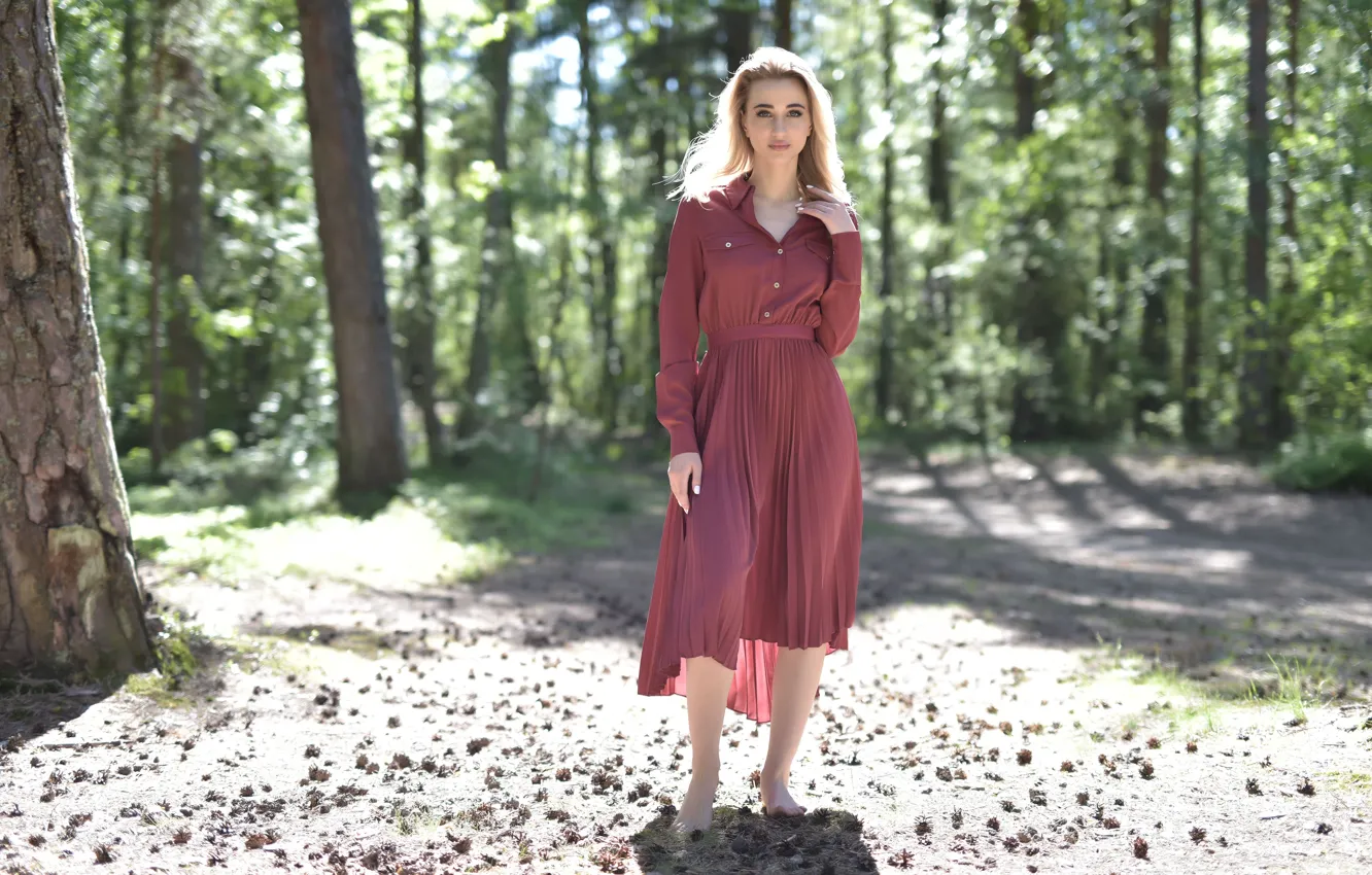 Фото обои forest, trees, nature, model, sexy woman, countryside, gorgeous, photoshoot