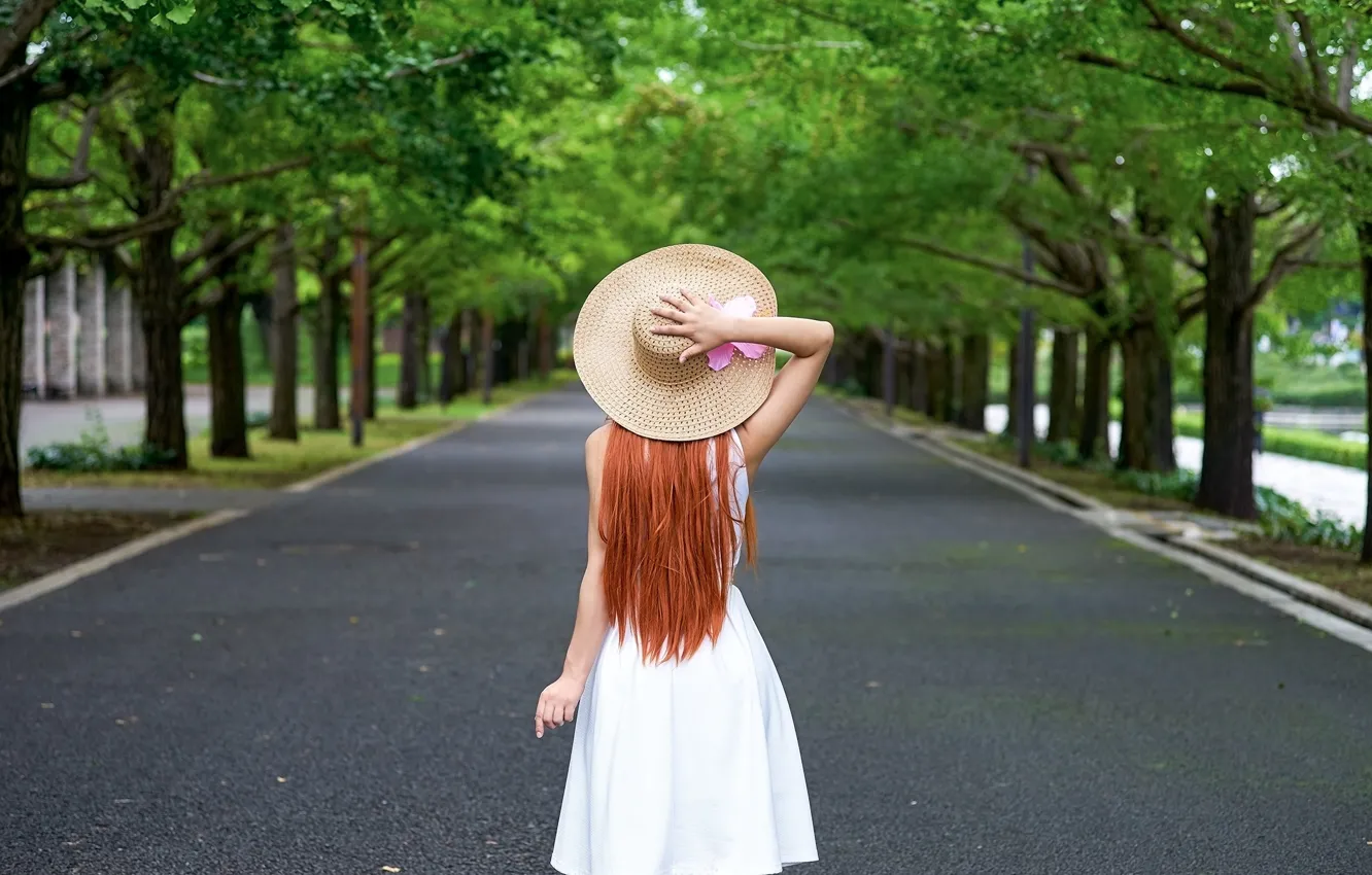 Фото обои лето, девушка, поза, парк, волосы, спина, шляпа, платье