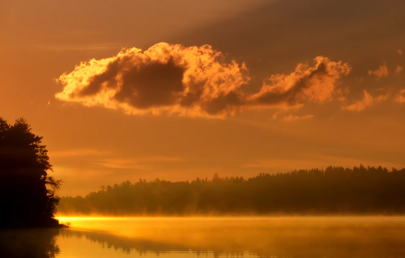 Фото обои вода, свет, деревья, туман, озеро, река, пейзажи