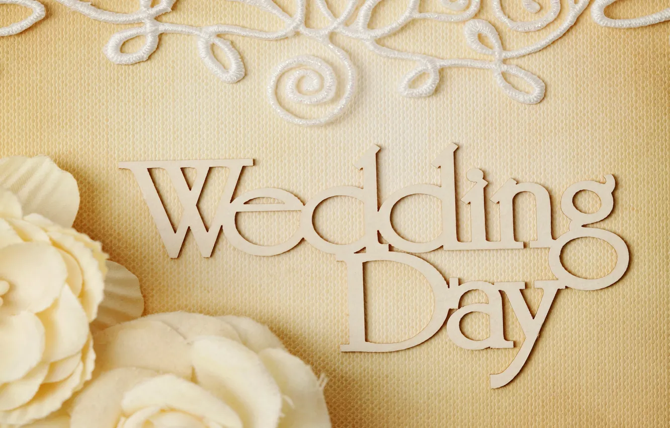 Фото обои цветы, кольца, свадьба, flowers, background, day, ring, soft
