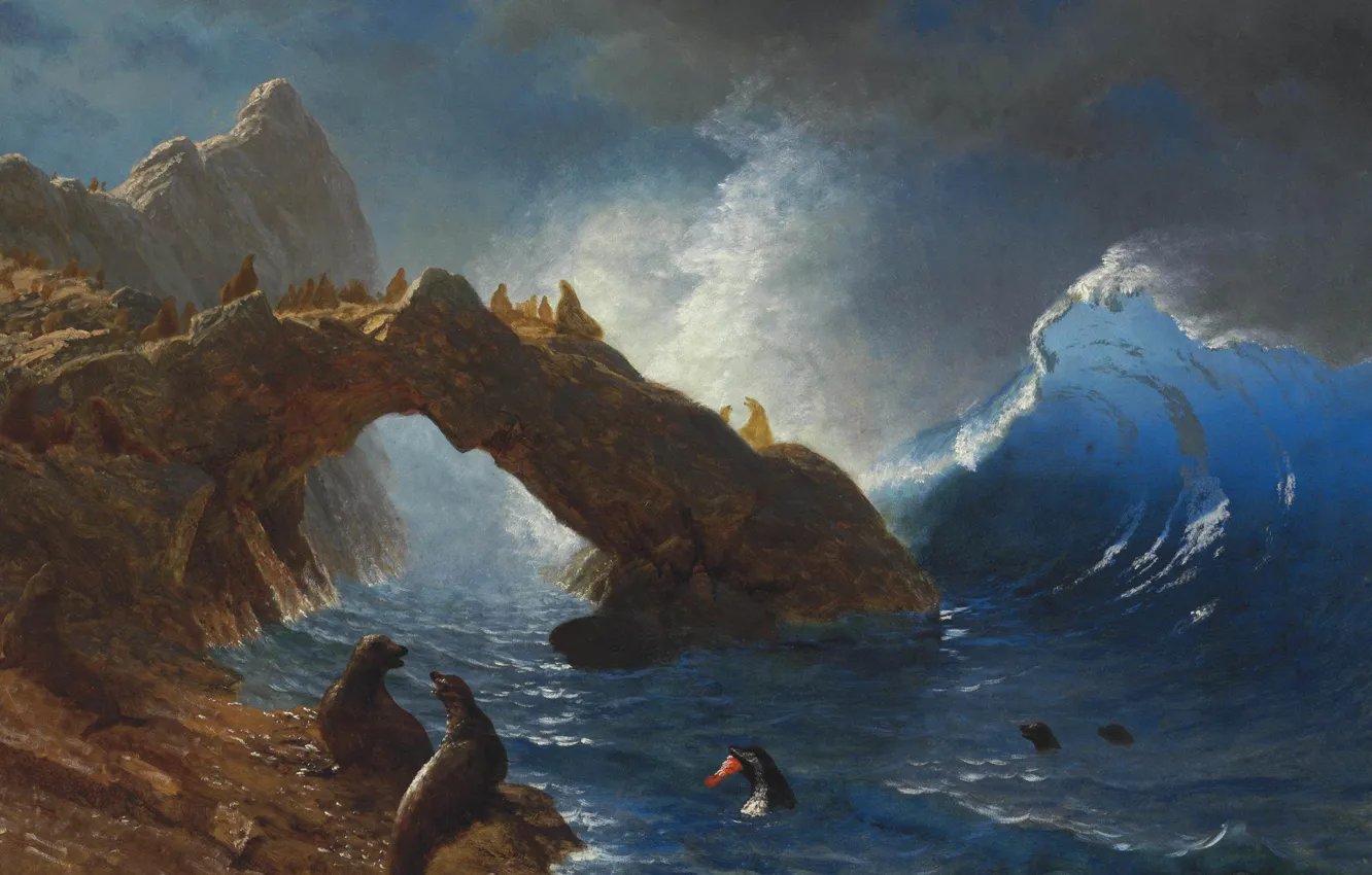 Фото обои животные, картина, морской пейзаж, Альберт Бирштадт, Тюлени на Скалах
