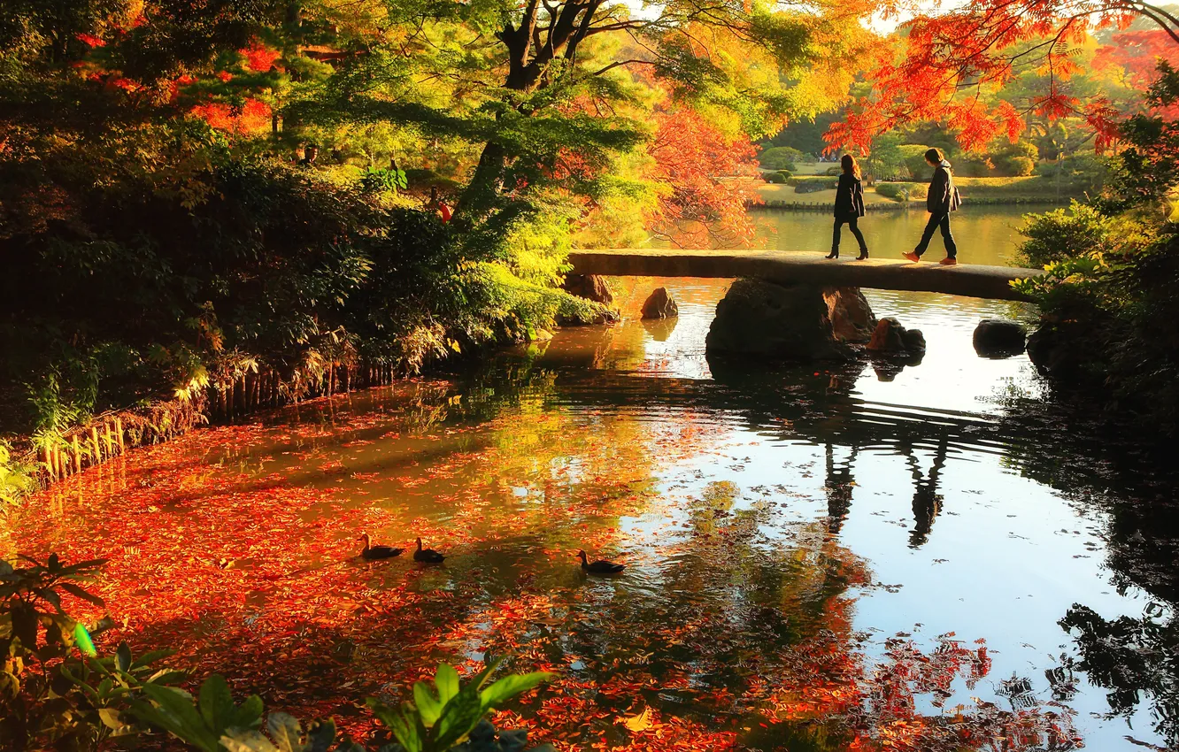 Фото обои осень, листья, вода, деревья, пейзаж, отражение, люди, мостик