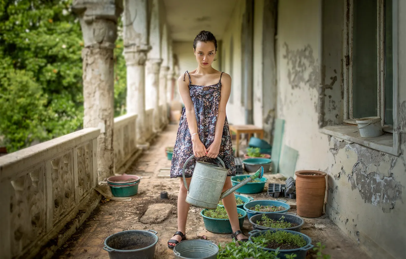 Фото обои лейка, Грузия, Bessarion Chakhvadze, цветочница