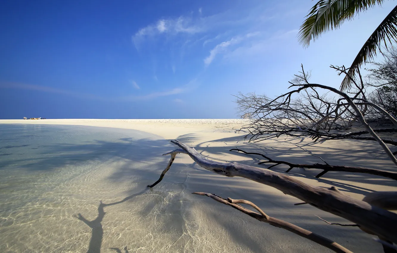 Фото обои песок, пляж, ветки, океан, берег, остров, Мальдивы, Maldives